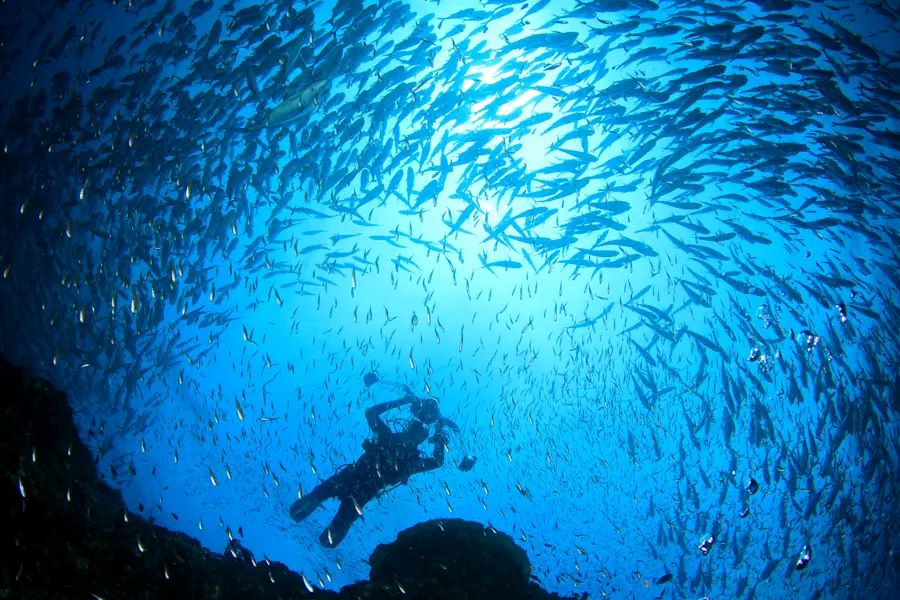 Palau