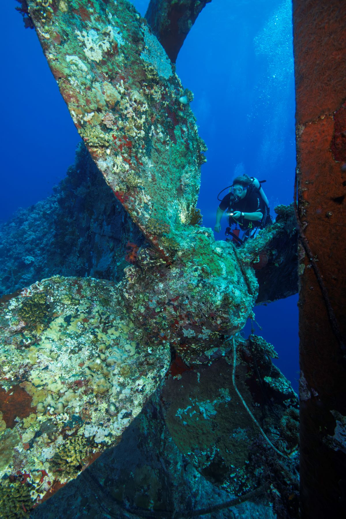 Red Sea Aggressor V