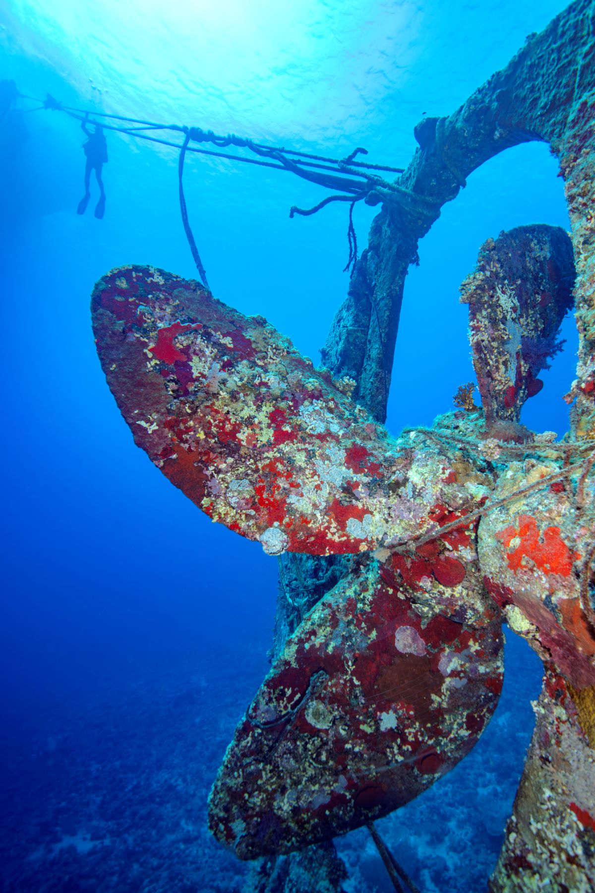 Red Sea Aggressor V