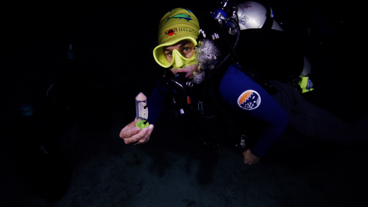 Diver with Coral Spawn in Collection Tube, Frazier Nivens Ocean Imaging copy