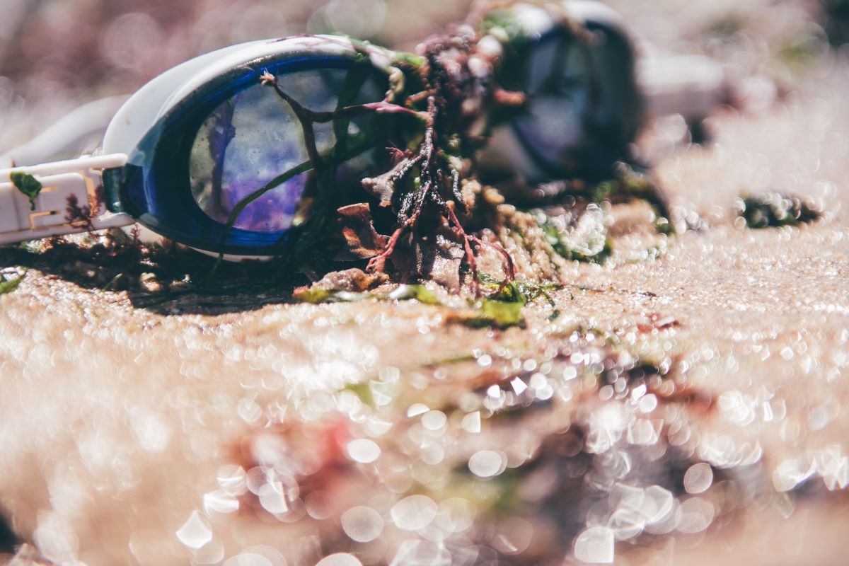 Plastic pollution