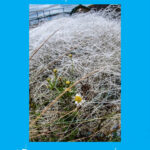 MANS IMPACT ON THE ENVIRONMENT RUNNER UP © Derek Bolton
