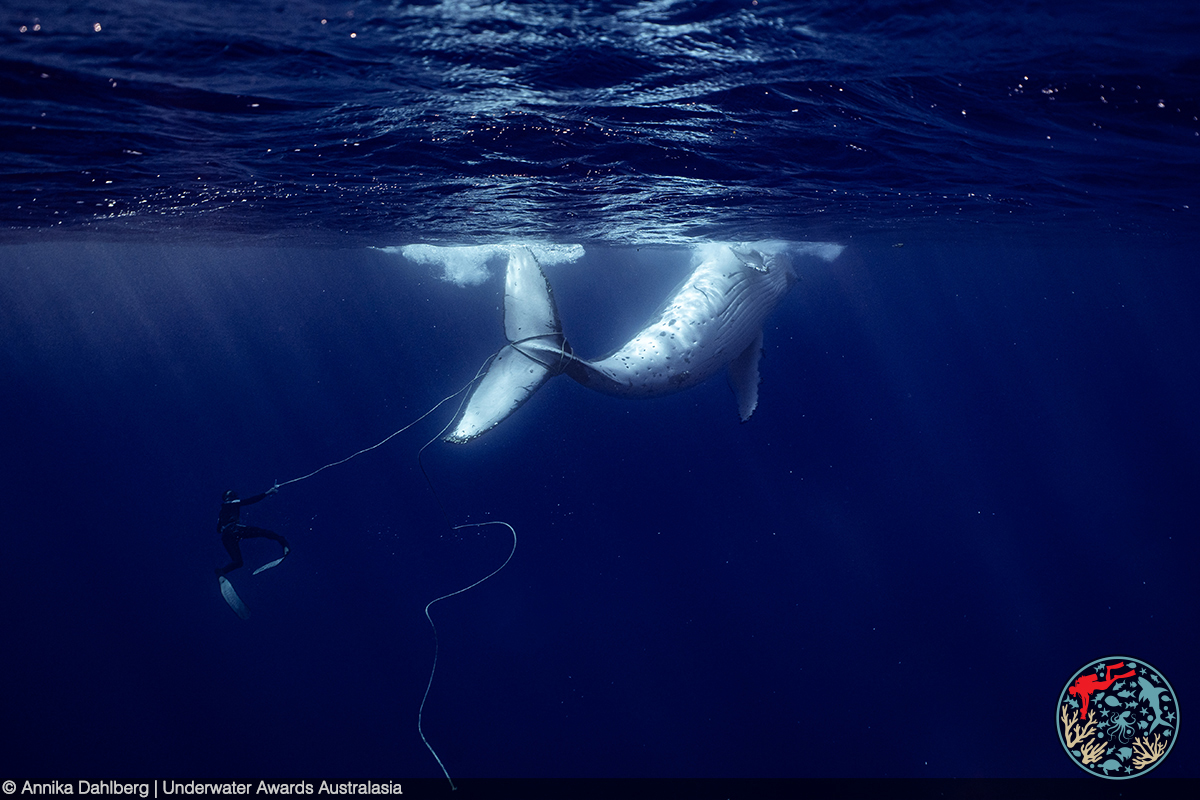 Conservation winner: Annika Dahlberg Conservation
