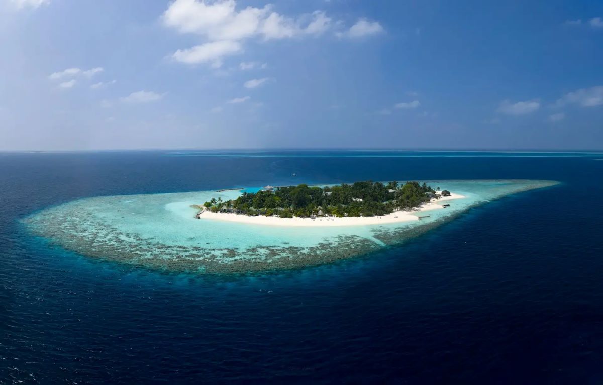 House Reef Diving