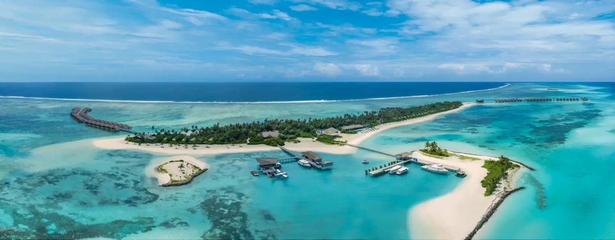 House Reef Diving