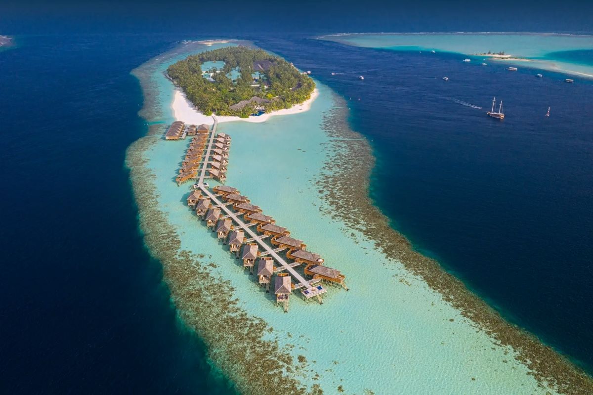 House Reef Diving